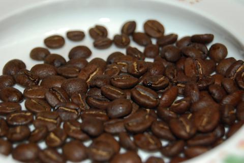 ぷりっぷりの豆