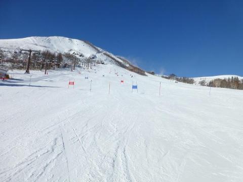 コンデジ撮影@TZ30