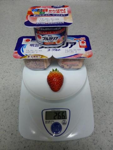 266gって、これくらい