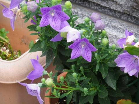 f/5.9、1/160秒、ISO 160、焦点距離 280mm