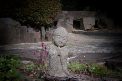 1/30秒、ISO 100、1 EV