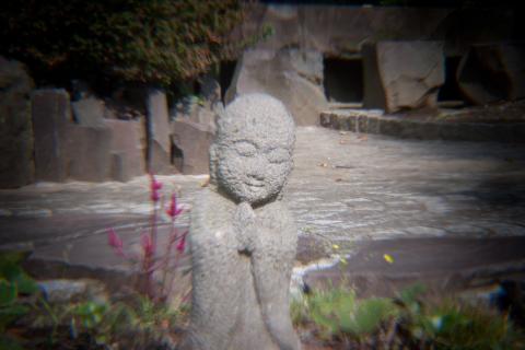 1/20秒、ISO 100、1 EV