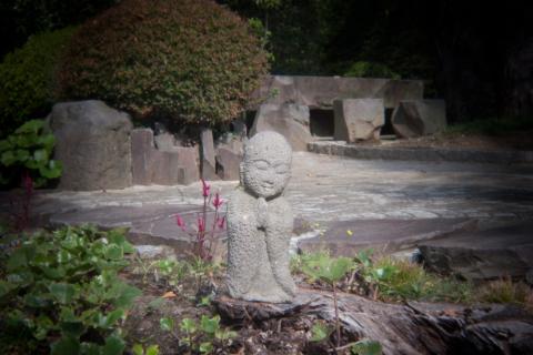 1/20秒、ISO 100、1 EV