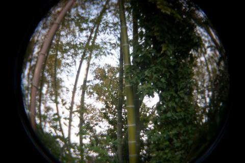 魚眼、1/20秒、ISO 400、0 EV、手持ち