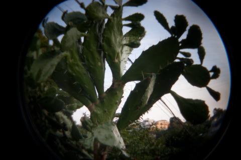 魚眼、1/20秒、ISO 400、0 EV、三脚