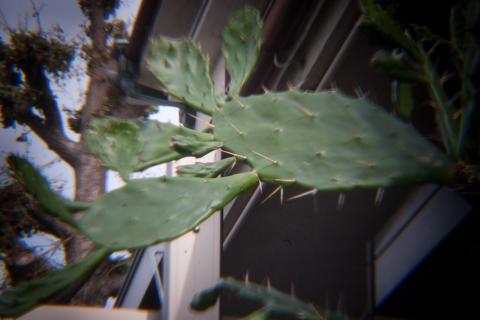 テレコン、1/60秒、ISO 400、0 EV、手持ち