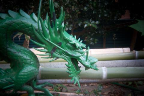 ワイコン、1/6秒、ISO 400、0 EV、三脚