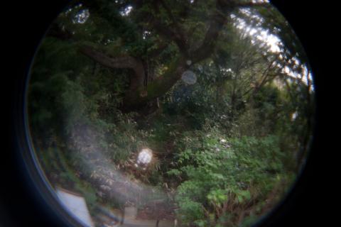 魚眼、1/6秒、ISO 400、2/3 EV、三脚