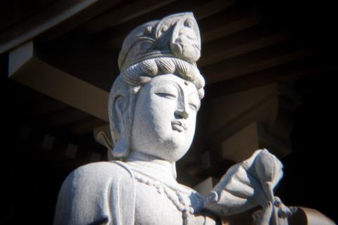 HOLGAレンズ、1/15秒、ISO 100、1 EV、手持ち