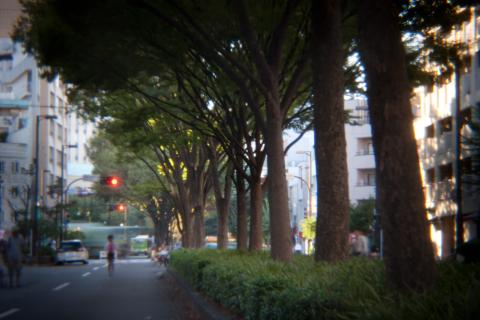 HOLGAレンズ、0.8秒、ISO 100、0 EV、三脚