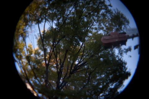 魚眼、0.4秒、ISO 100、0 EV、手持ち