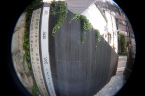 魚眼、0.5秒、ISO 100、0 EV、一脚