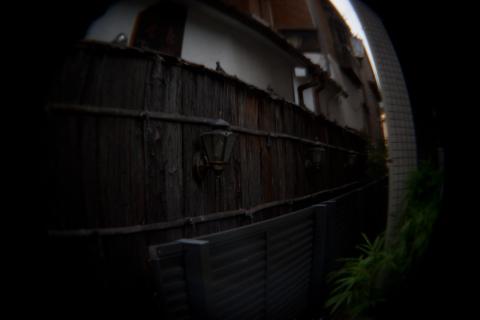 魚眼、1/4秒、ISO 100、0 EV、一脚