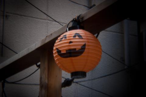 HOLGAレンズ、1/4秒、ISO 100、0 EV、手持ち