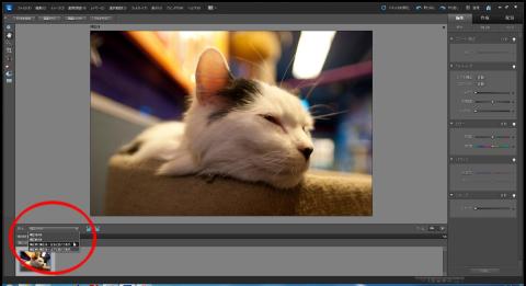「補正前と補正後 - 左右に並べて表示」を選択