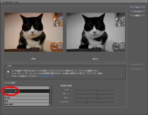 ポートレイト(人物)