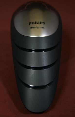 玉虫ではありません、オームでもありません。