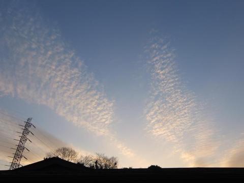 ISO 100、1/300秒、F 4.5、AUTO