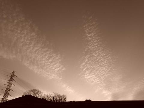 ISO 100、1/280秒、F 5、フィルムシミュレーション セピア