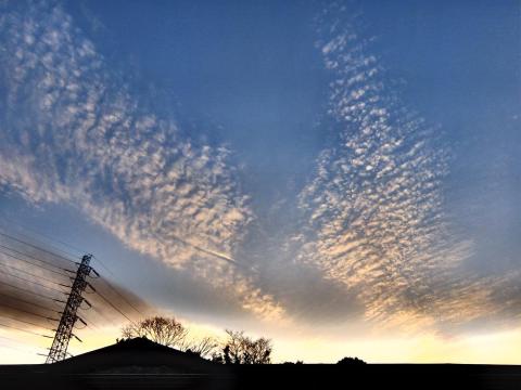 ISO 200、1/450秒、F 5、フィルター ダイナミックトーン