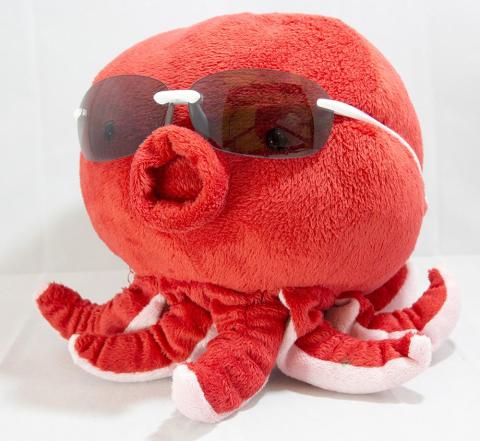 著者近影・・・ではない