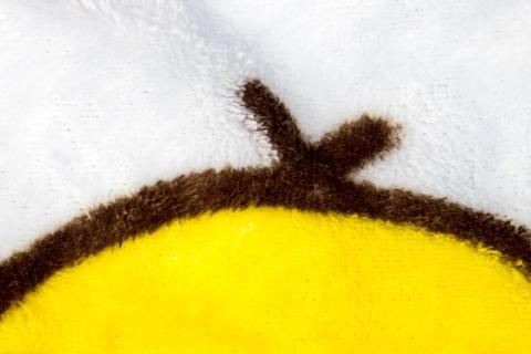 このふわふわ感を伝えられないのがもどかしい