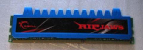 ジョーズっぽいたたずまい