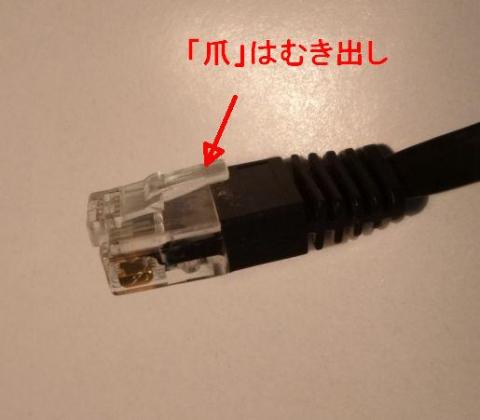 「爪の立ち方」が弱いのも見て取れますね