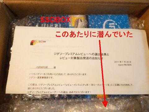 梱包材のプチプチの中に..