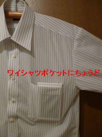 ポケットが垂れ下がりイマイチ。