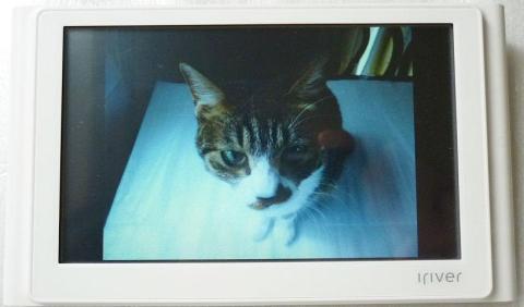 写真転送は本体だけで可能(後述)