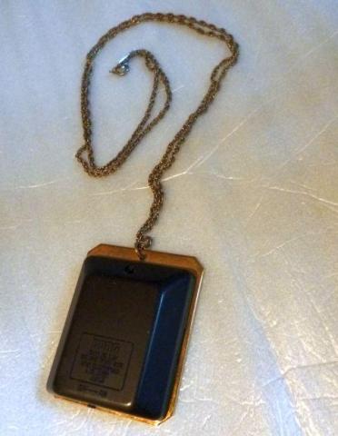 表はかっこよくてもね...これを首からぶら下げた人いたのかしら?orz