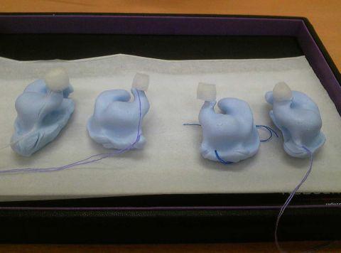 このでんでん虫のようなものがcybercatの耳型(左右各2個)