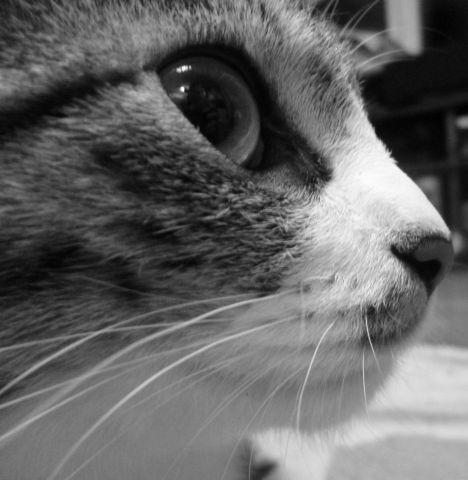 さらに「目が印象的な一枚」に??