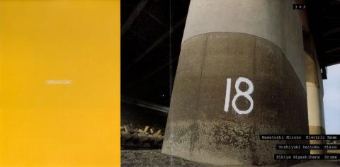 このいかにもインディーズ、という感じのジャケット...