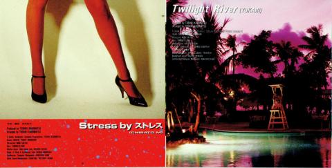 この美脚写真がアレを暗示させます