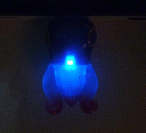 暗くて良くわかんない??