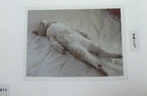 じわっ..じわじわっっ