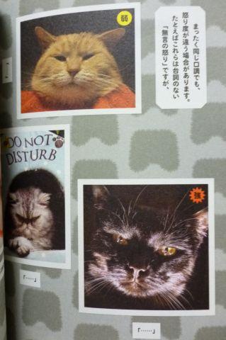 キターーーーーー(゜∀゜)ーーーーーー!!