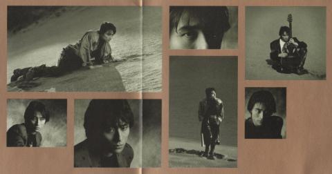 ルックスも良くて、ソングライティングに徹する、というより欲があったのかな?