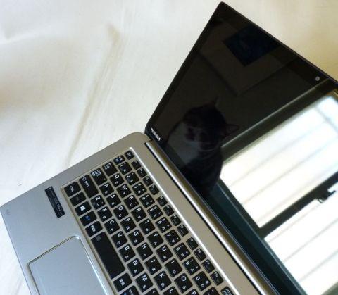 逆光気味でもこれくらいは映る。