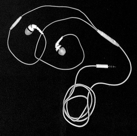 このサイズ(480✕480)にリサイズしてしまうと破綻は感じられない