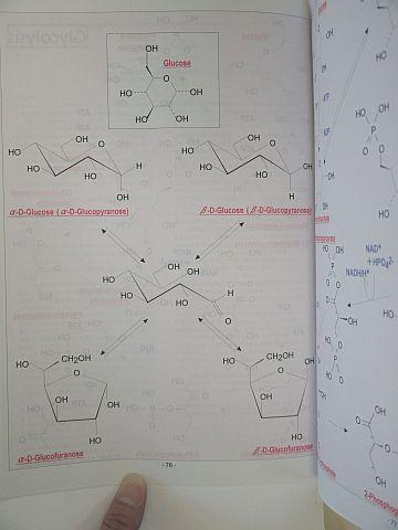 歪みは少ないが、中央は開ききっておらず、必ずしも満足できる出来ではない。