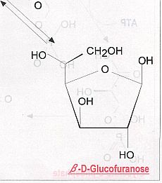罫線がわずかにぶれているが、一様な仕上がり