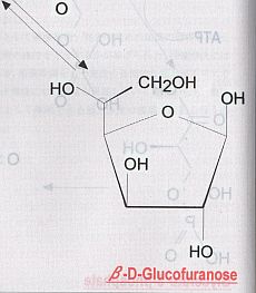 どうしてもページを綴じている部分(右側)が暗い