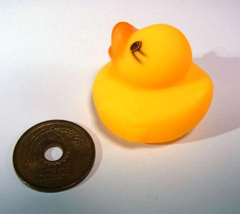 こんくらいの大きさ