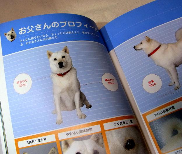 お父さんは二重まぶたらしい...