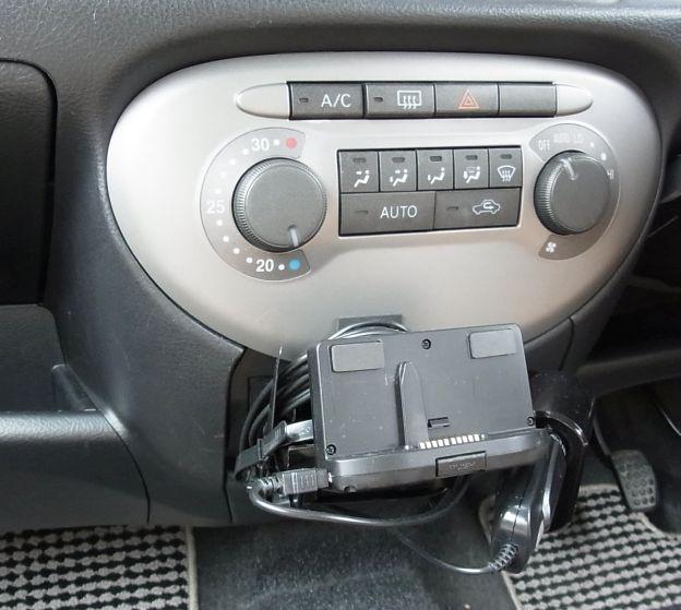 わかりづらいかもしれないが、灰皿から「生えてる」。