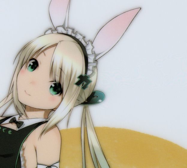 こっこれ、バニーガールとメイドが混ざっちっやてない?(センスワル..プンプン