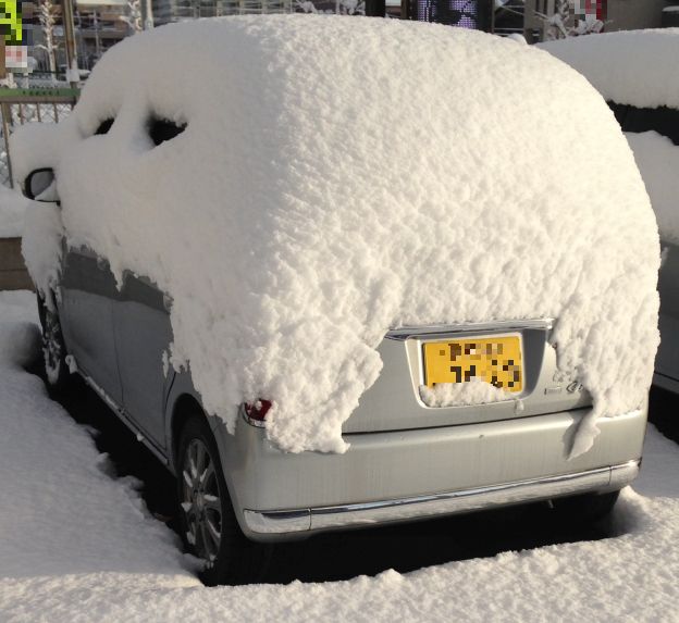 ...と言ってもここまで積もると一苦労だが(^^ゞ